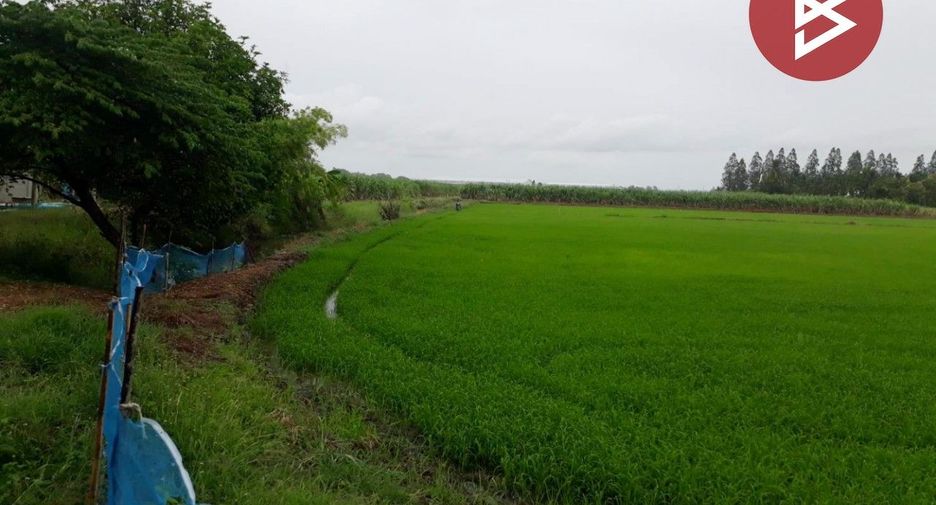 ขาย ที่ดิน ใน ท่ามะกา, กาญจนบุรี