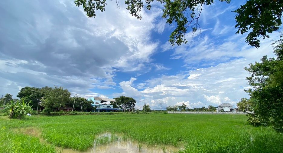 ขาย ที่ดิน ใน สันกำแพง, เชียงใหม่