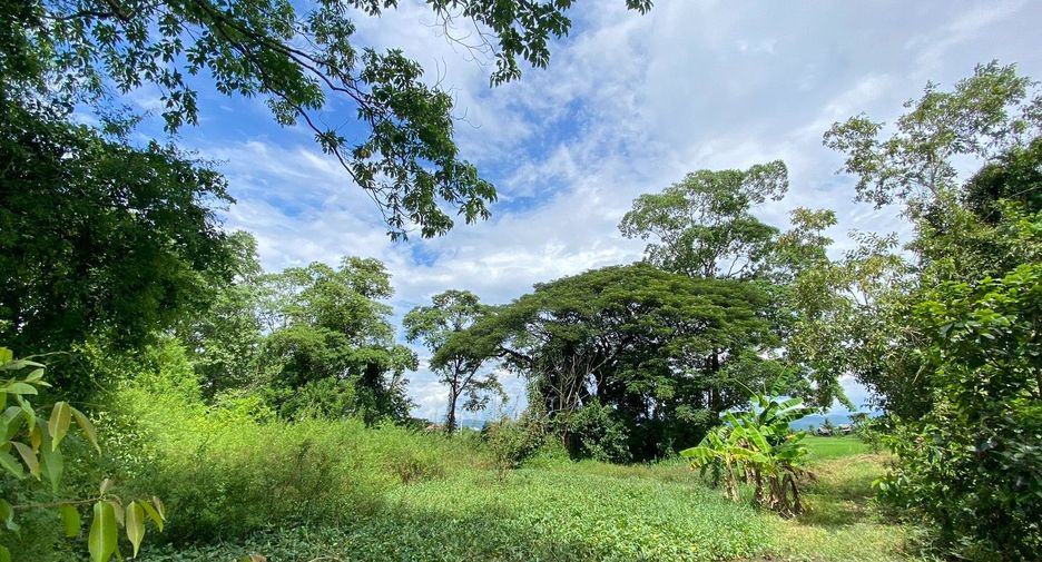 ขาย ที่ดิน ใน สันกำแพง, เชียงใหม่
