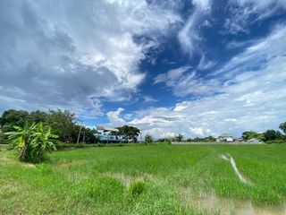 For sale land in San Kamphaeng, Chiang Mai