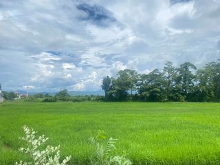 For sale land in San Kamphaeng, Chiang Mai
