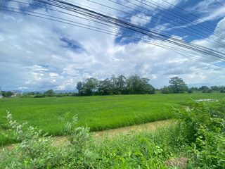 For sale land in San Kamphaeng, Chiang Mai