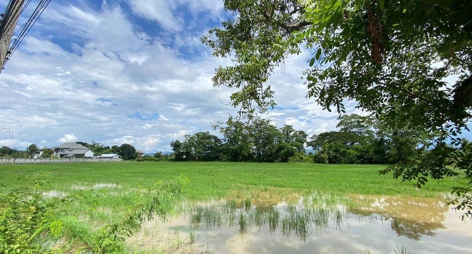ขาย ที่ดิน ใน สันกำแพง, เชียงใหม่