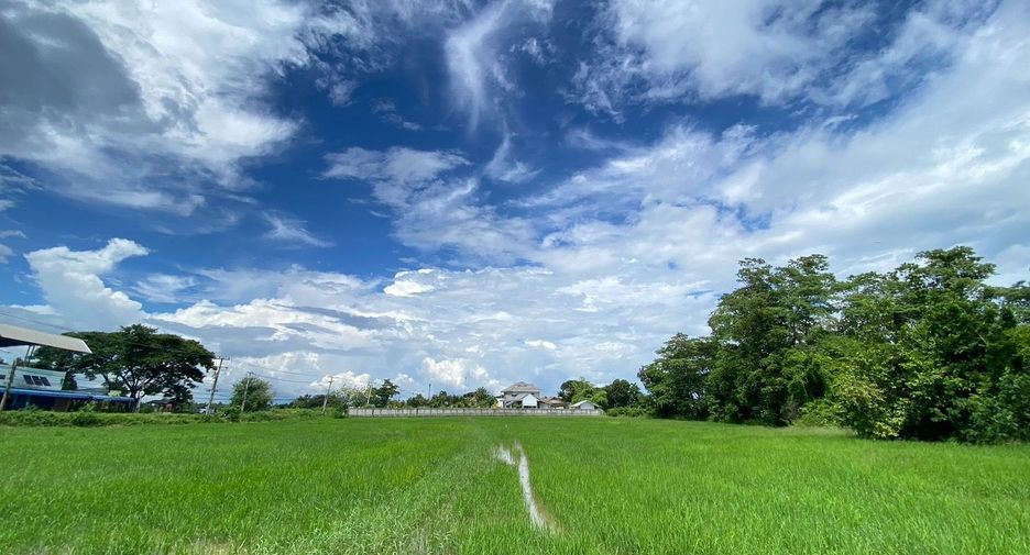 ขาย ที่ดิน ใน สันกำแพง, เชียงใหม่