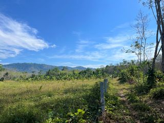 出售 土地 