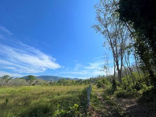 出售 土地 