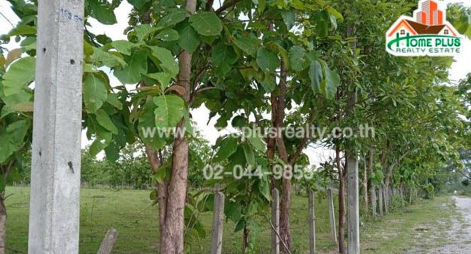 出售 土地 在 Hang Chat, Lampang