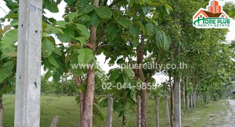 出售 土地 在 Hang Chat, Lampang