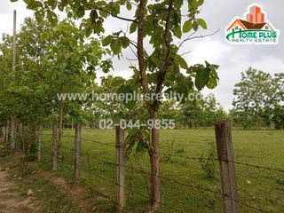 ขาย ที่ดิน ใน ห้างฉัตร, ลำปาง