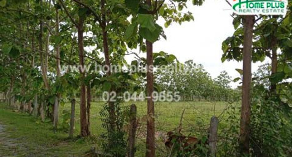 出售 土地 在 Hang Chat, Lampang
