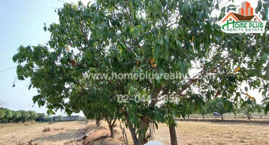 For sale land in Na Chueak, Maha Sarakham