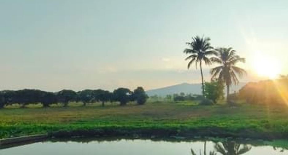 For sale land in Wiang Pa Pao, Chiang Rai