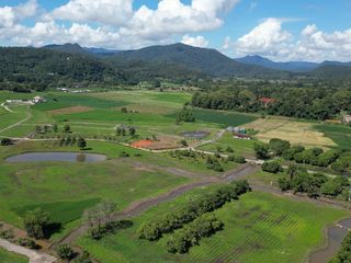 For sale land in Wiang Pa Pao, Chiang Rai