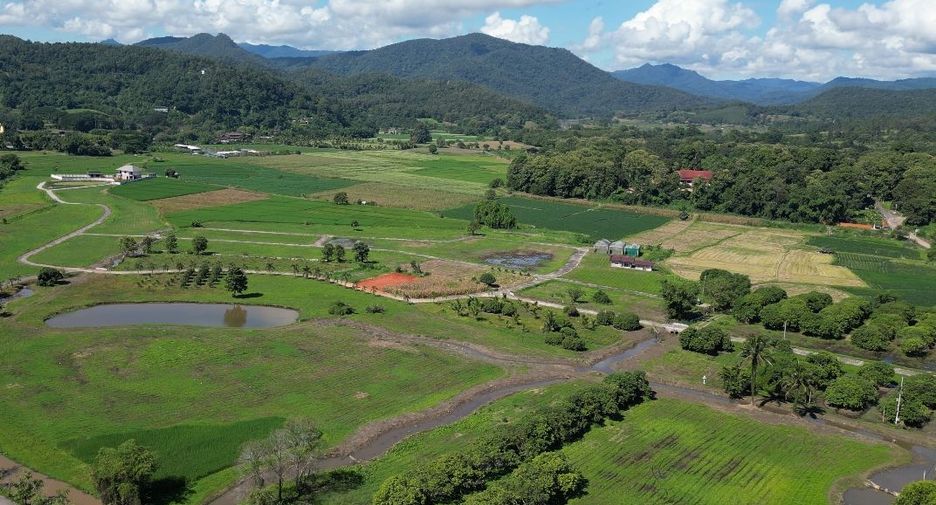 For sale land in Wiang Pa Pao, Chiang Rai