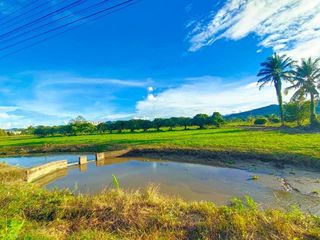 For sale land in Wiang Pa Pao, Chiang Rai