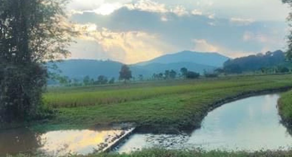 For sale land in Wiang Pa Pao, Chiang Rai