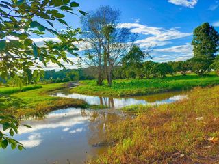 For sale land in Wiang Pa Pao, Chiang Rai