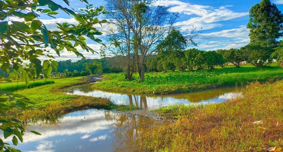 For sale land in Wiang Pa Pao, Chiang Rai