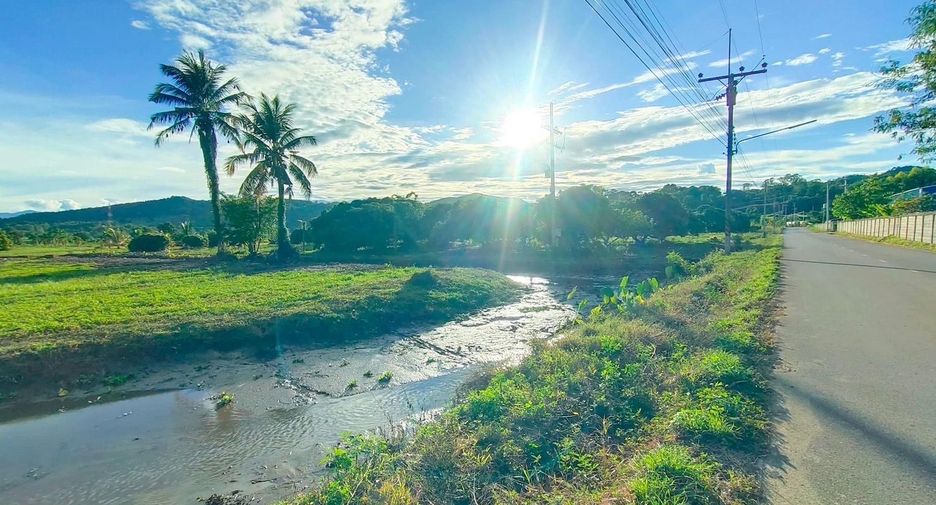 For sale land in Wiang Pa Pao, Chiang Rai