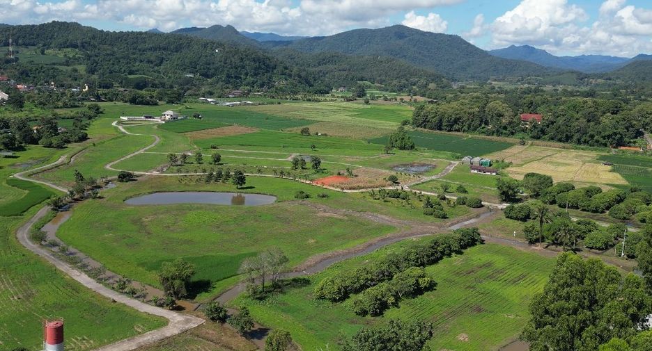For sale land in Wiang Pa Pao, Chiang Rai