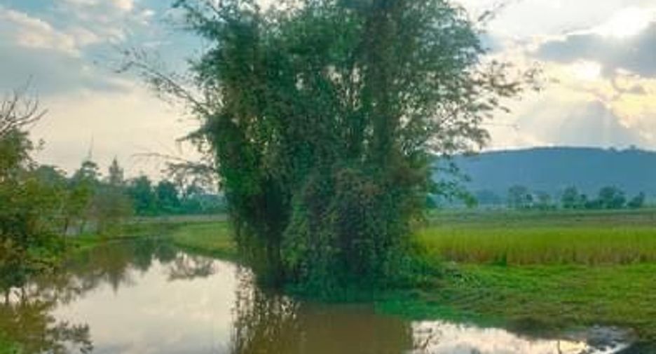 For sale land in Wiang Pa Pao, Chiang Rai