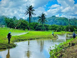 For sale land in Wiang Pa Pao, Chiang Rai