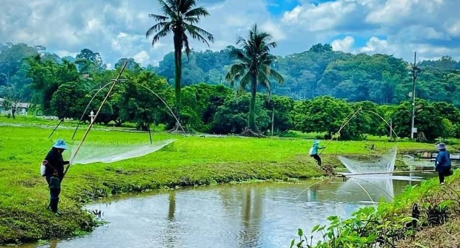 For sale land in Wiang Pa Pao, Chiang Rai