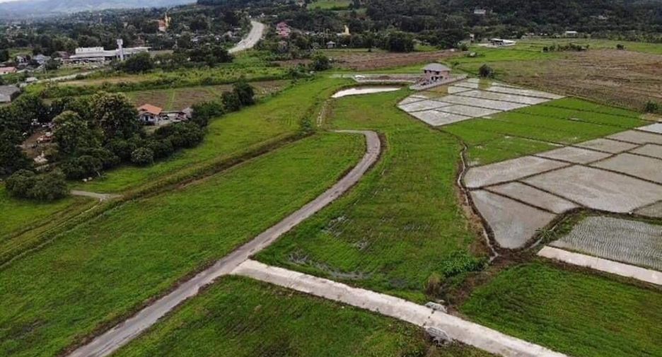 For sale land in Wiang Pa Pao, Chiang Rai