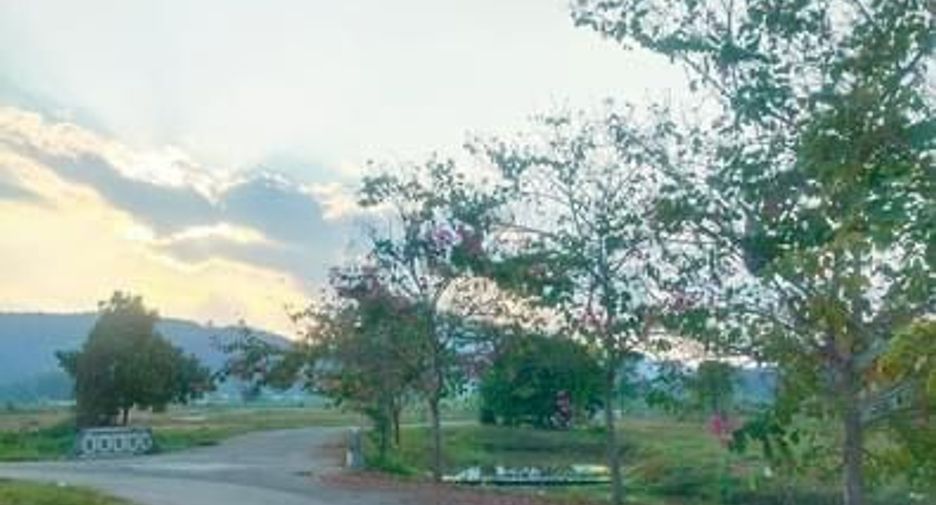 For sale land in Wiang Pa Pao, Chiang Rai