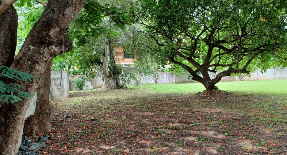 Продажа Участок в Mueang Chiang Mai, Чианг Маи