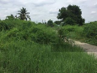 For sale land in Sam Phran, Nakhon Pathom