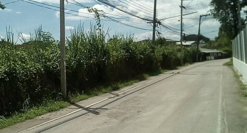 For sale land in Mueang Chiang Mai, Chiang Mai
