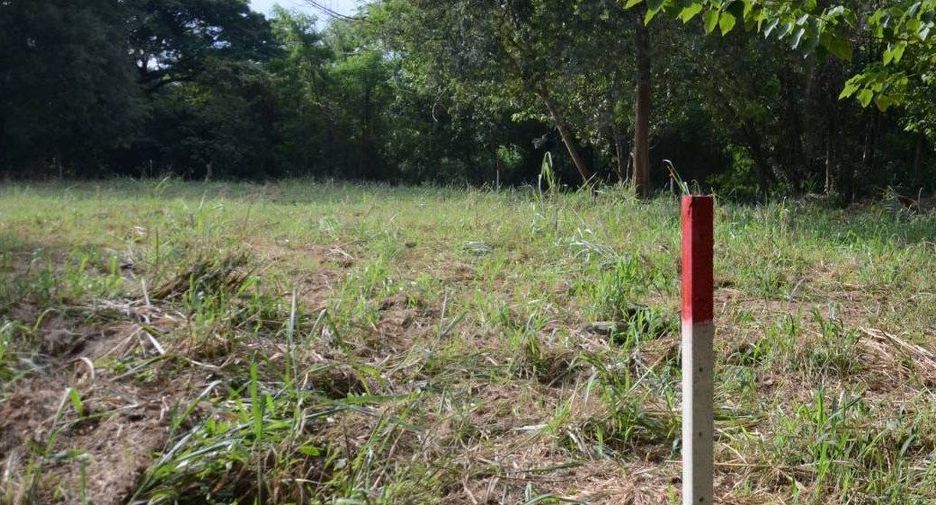 For sale land in Mueang Chiang Mai, Chiang Mai