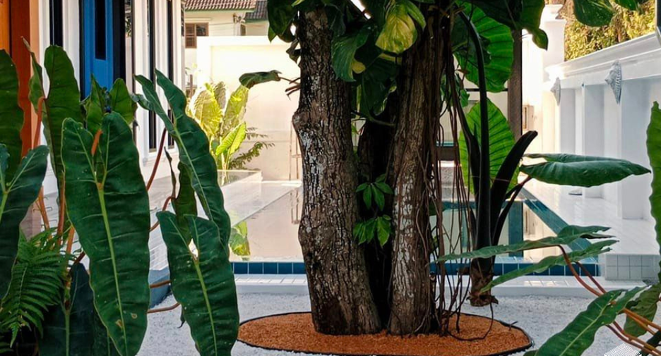 For sale 3 bedrooms villa in Mae Rim, Chiang Mai