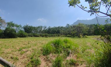 Terreno en venta en Pak Chong, Nakhon Ratchasima