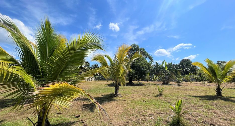 For sale 2 bedrooms house in Takua Thung, Phang Nga