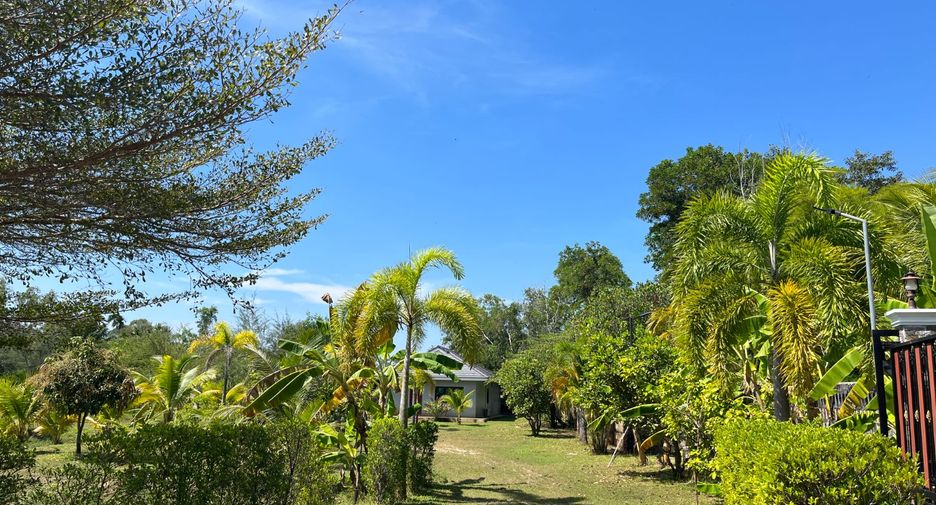For sale 2 bedrooms house in Takua Thung, Phang Nga