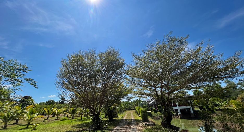 For sale 2 bedrooms house in Takua Thung, Phang Nga