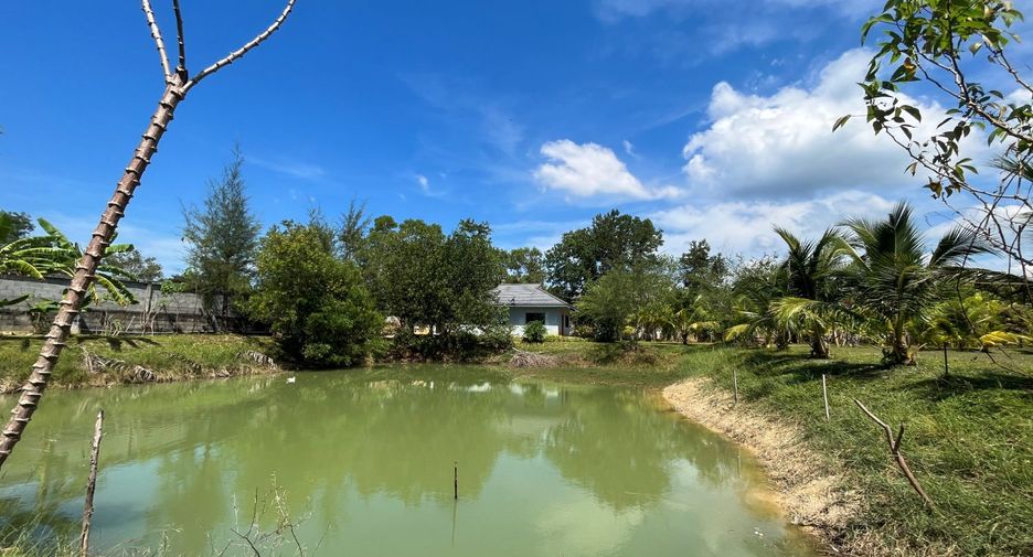 For sale 2 bedrooms house in Takua Thung, Phang Nga