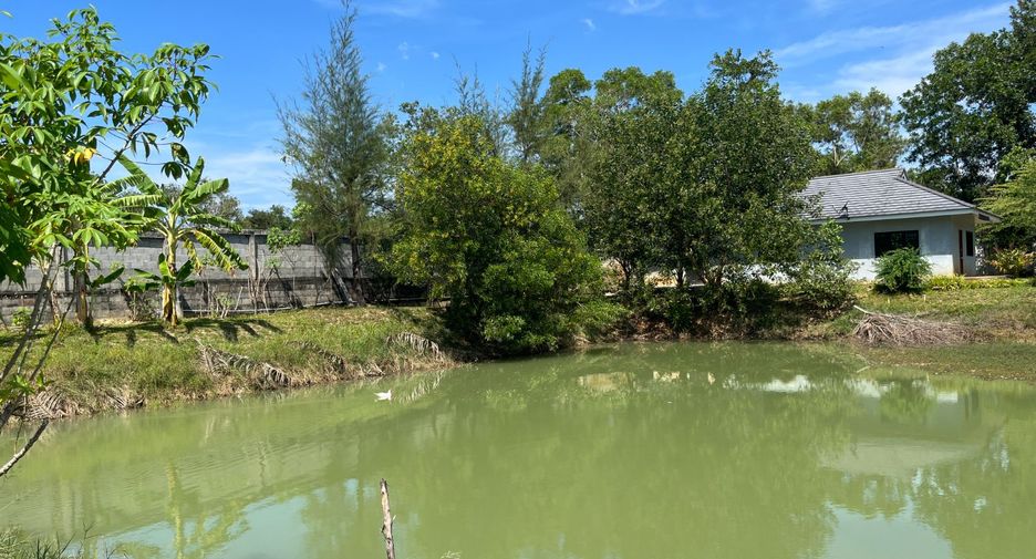 For sale 2 bedrooms house in Takua Thung, Phang Nga