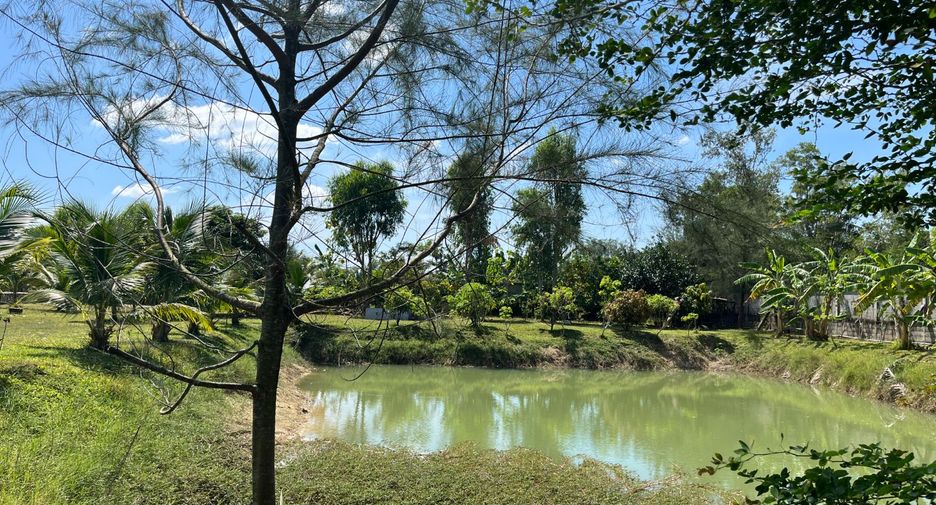 For sale 2 bedrooms house in Takua Thung, Phang Nga