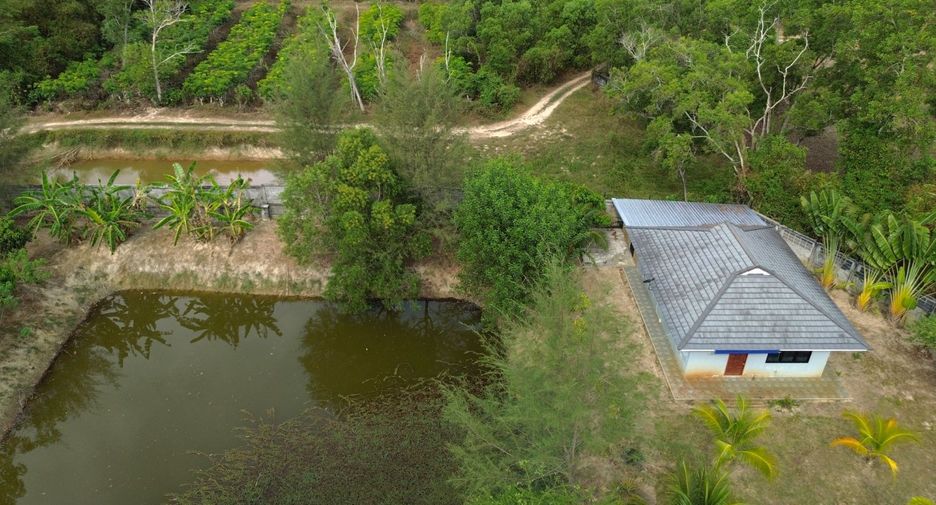 For sale 2 bedrooms house in Takua Thung, Phang Nga
