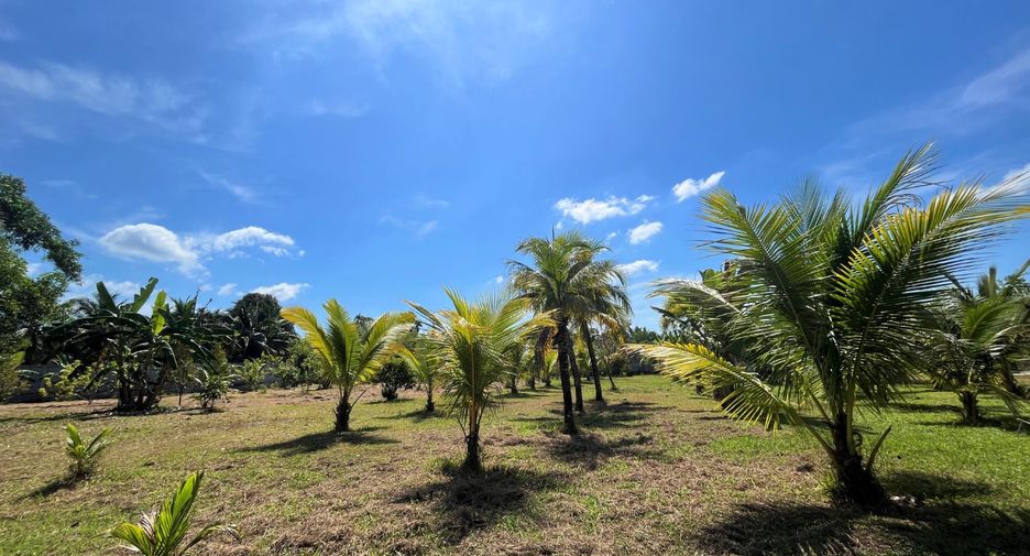 For sale 2 bedrooms house in Takua Thung, Phang Nga