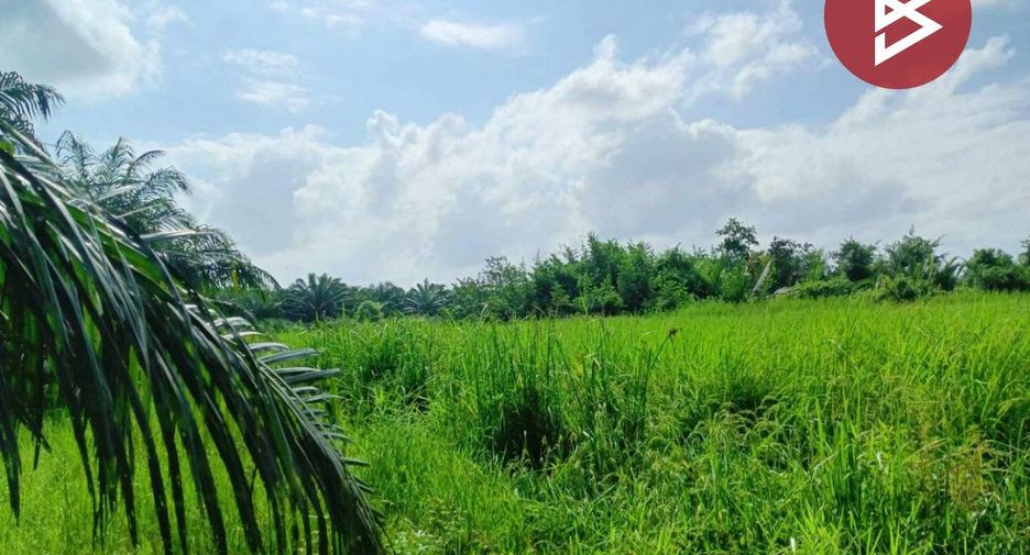 For sale land in Chian Yai, Nakhon Si Thammarat