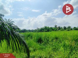For sale land in Chian Yai, Nakhon Si Thammarat