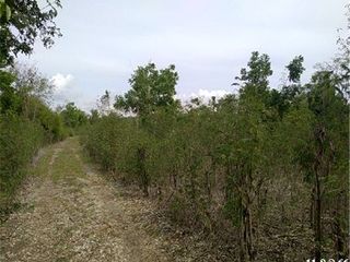ขาย ที่ดิน ใน ศรีประจันต์, สุพรรณบุรี