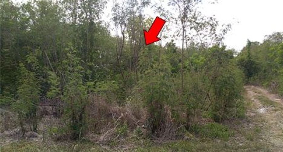 For sale land in Si Prachan, Suphan Buri