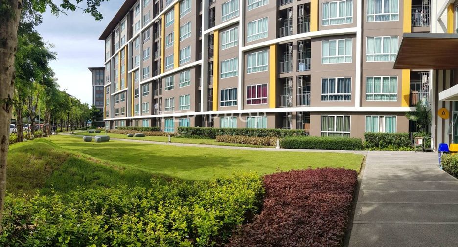 For rent 1 bed condo in Mueang Chon Buri, Chonburi