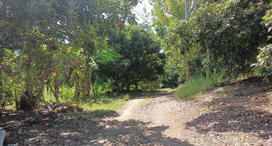 出售 土地 在 Khao Khitchakut, Chanthaburi