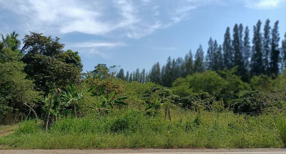 出售 土地 在 Khao Khitchakut, Chanthaburi